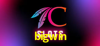 bigwin bet
