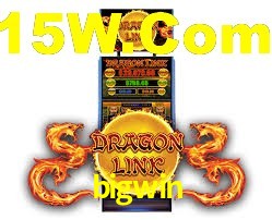 Premium Interface bigwin