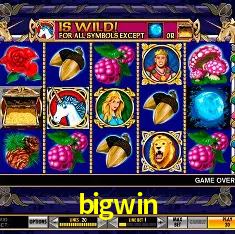 Recursos de Bônus bigwin